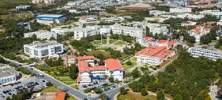 EMU UNIVERSITY