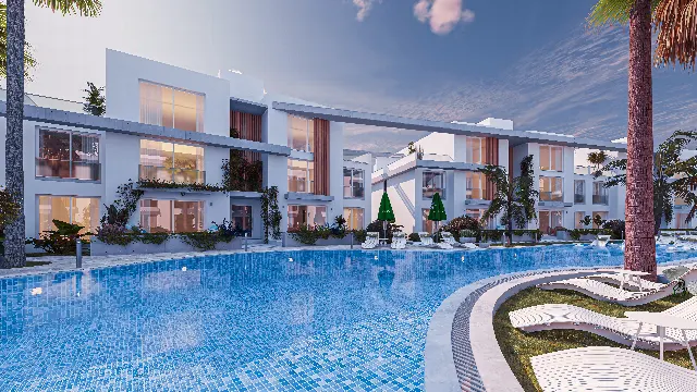 olive court 2